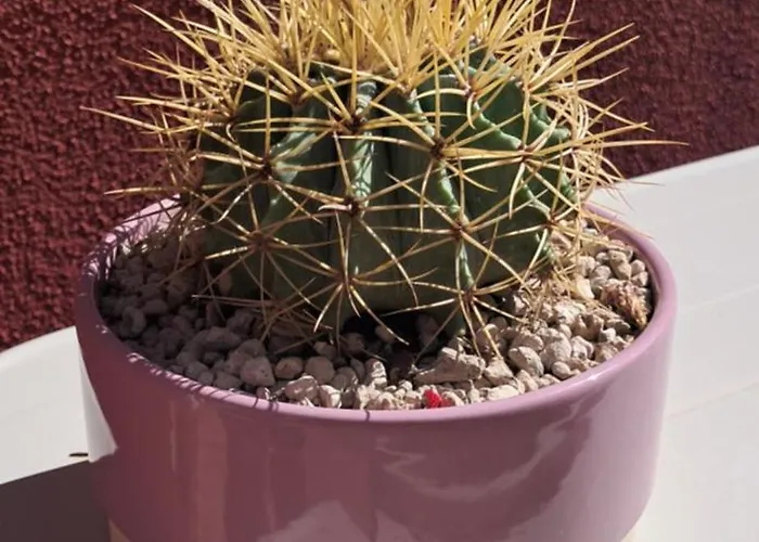 Homeliday Relax Дом отдыха *