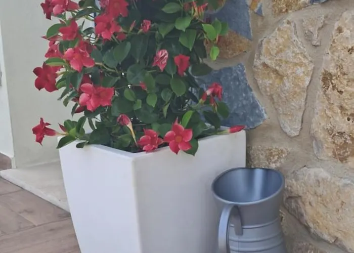 Homeliday Relax Дом отдыха Калдана